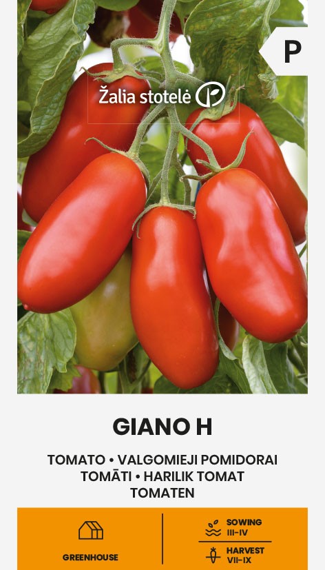 Tomat - Giano H