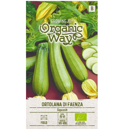 Squash - Ortolana di Faenza