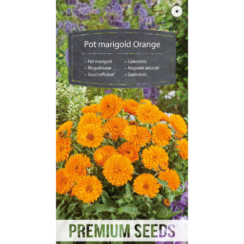 Marigold Orange