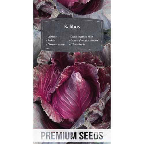 Red cabbage - Kalibos