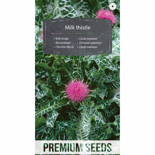 Milk thistle – Bee plant