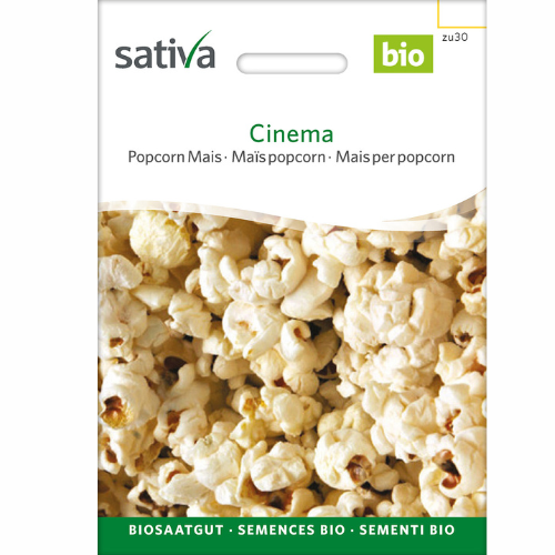 Ekologisk Popcornmajs – Cinema