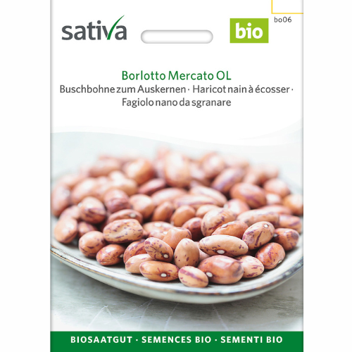 Bush bean – Borlotto Mercato OL