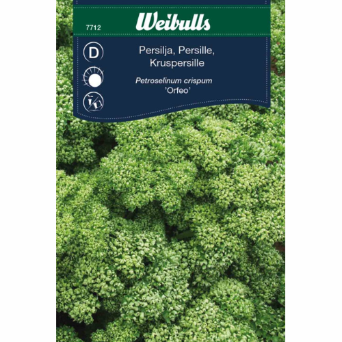 Parsley – Paravert
