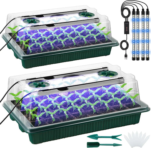 2-pack Soap dish with high lid – 80 cells