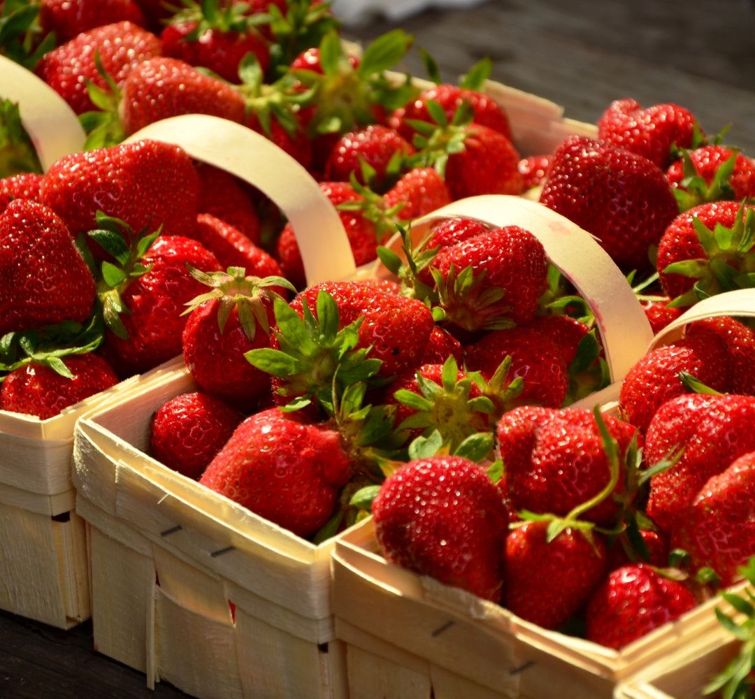 Strawberry Asia 10- PACK - Medieval variety