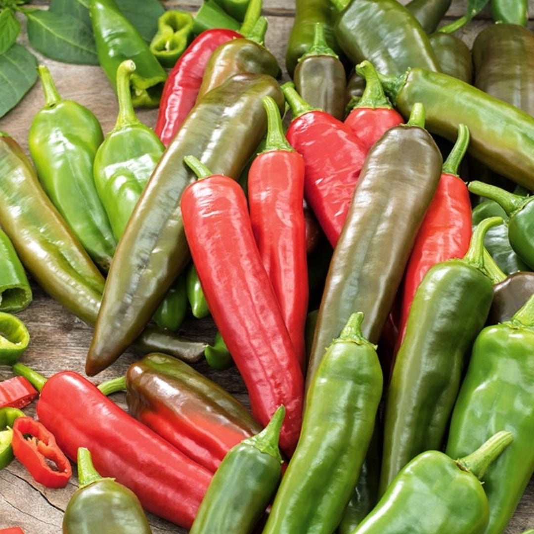 Chili &