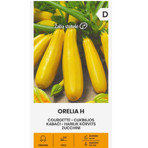 Squash - Orelia H