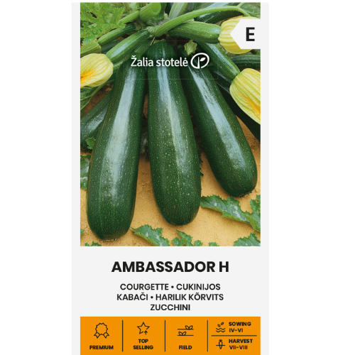 Squash - Ambassador H