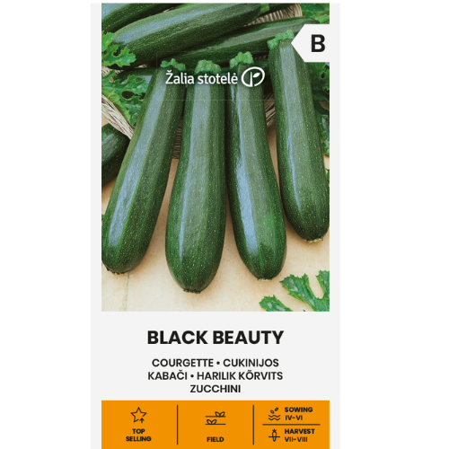Squash - Black Beauty
