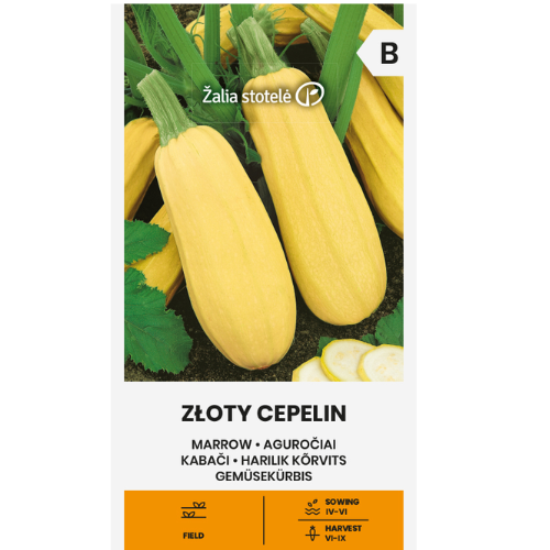 Pumpkin - Golden Cepelin