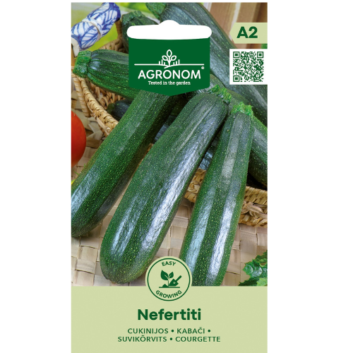 Squash - Nefertiti
