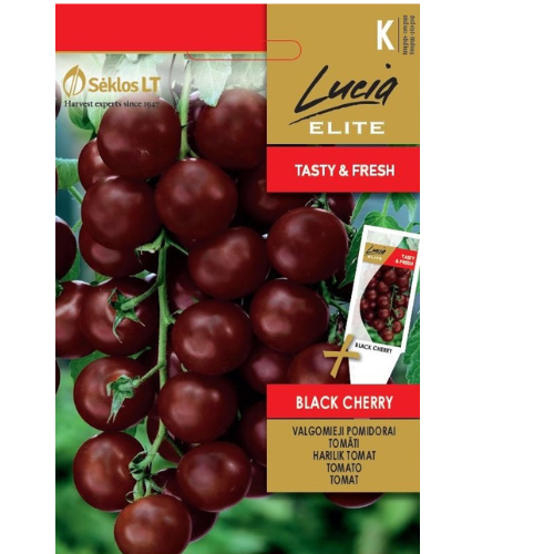 Tomato - Black Cherry