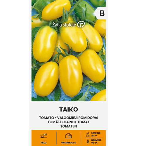 Tomato - Taiko