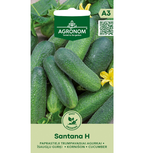 Free-range cucumber - Santana H
