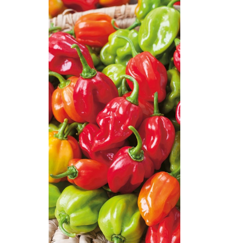 Chilipeppar - Habanero Mixed