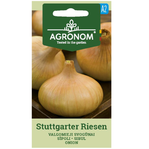 Onion - Stuttgart Giant