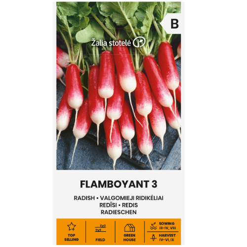 Radishes Flamboyant 3 – Elegant and flavorful