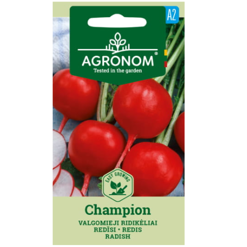 Radish - Champion
