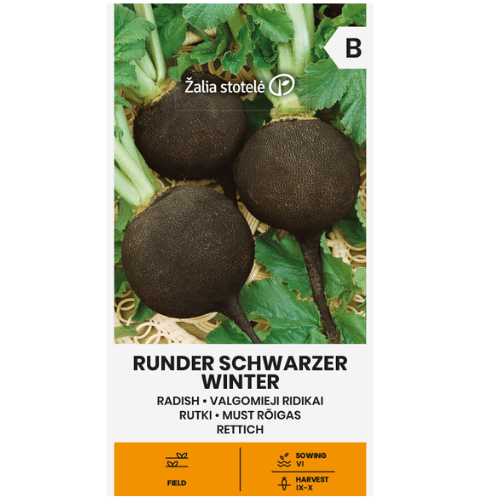 Radish - Round Black Winter