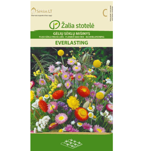 Flower mix Everlasting
