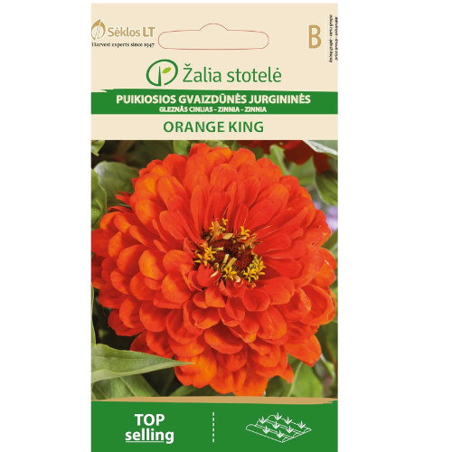 Zinnia - Orange King