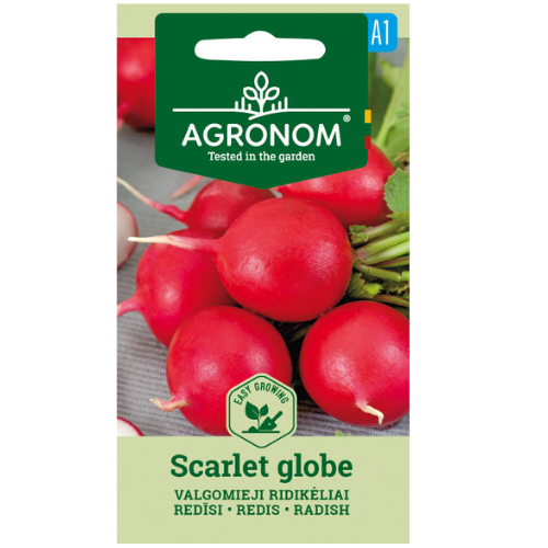 Radishes - Scarlet Globe