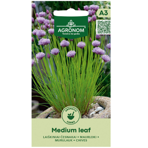 Chives - Medium Leaf