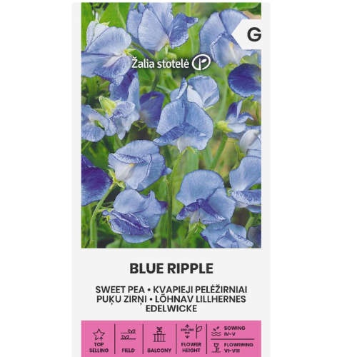 Sweet Pea - Blue Ripple