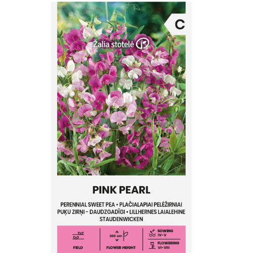 Perennial Sweet Pea Pink Pearl