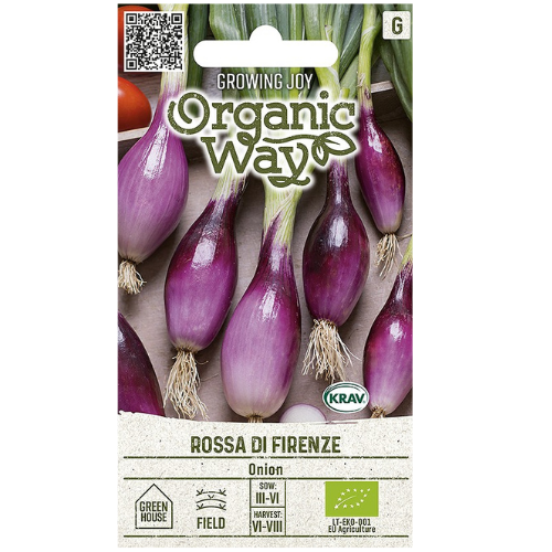 Onion - Rossa di Firenze