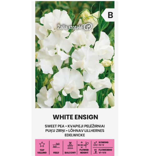 Sweet Pea - White Ensign