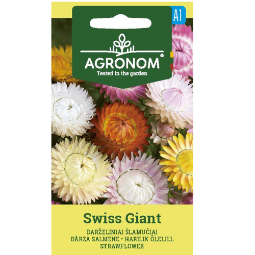 Eternal - Swiss Giant