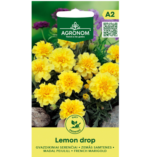 Velvet tagetes - Lemon Drop