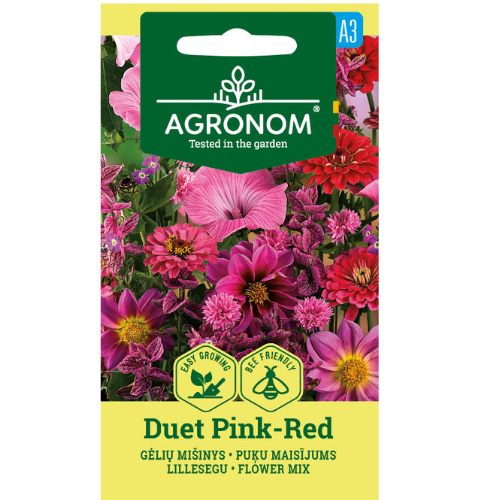 Blomfröblandning Duet Rosa