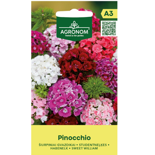 Pinocchio - Pinocchio