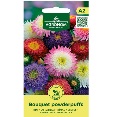 Aster - Bouquet Powderpuffs