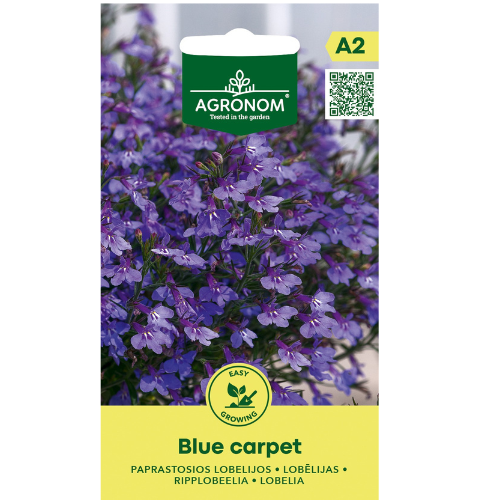 Hanging Lobelia - Blue Carpet
