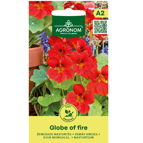Bush cress - Globe of Fire