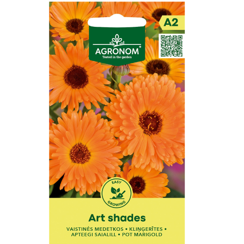 Tagetes - Art Shades