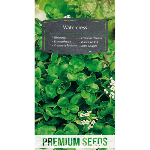 Watercress