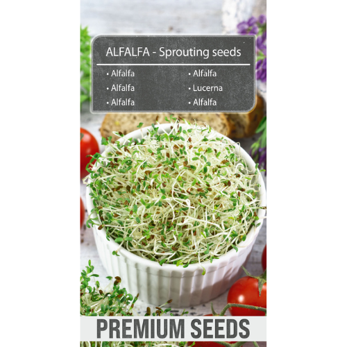 Alfalfa Sprouted Seeds