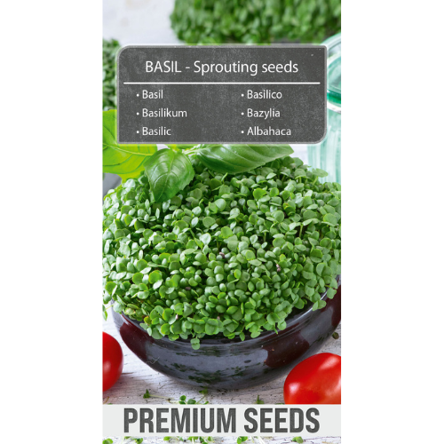 Basil Sprouted Seeds