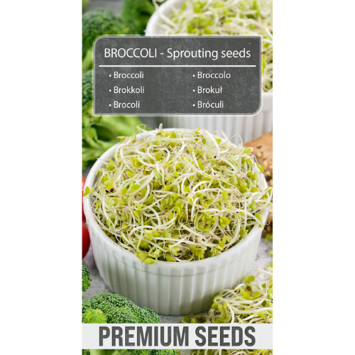 Broccoli Sprout Seeds