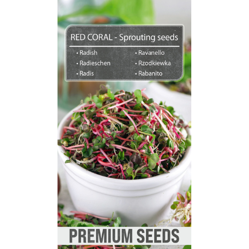 Sprouted seeds - Radish Red Coral