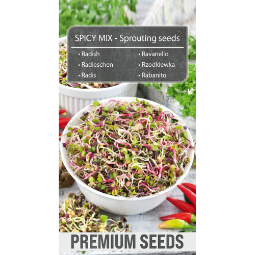 Sprouted Seeds - Radish Spicy Mix
