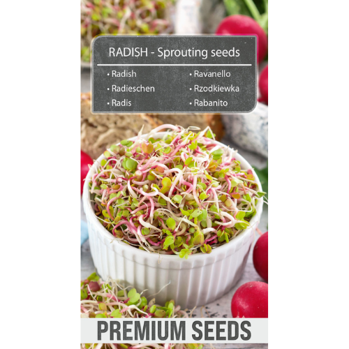 Sprouted seeds - Radish