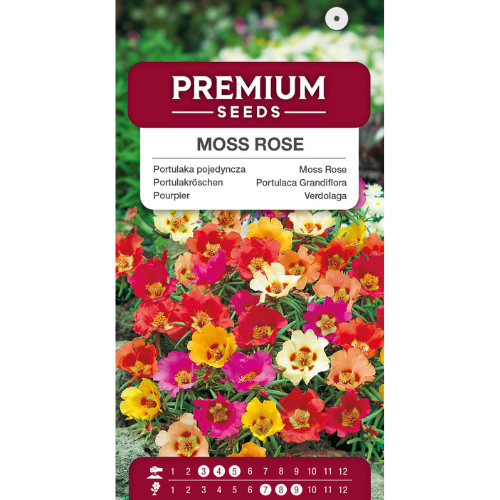 Prakportlak - Moss Rose