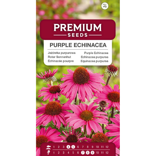 Red Coneflower - Purple Coneflower