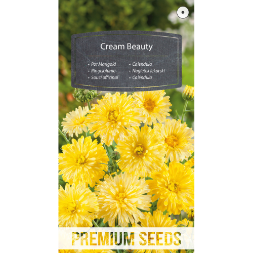Marigold - Cream Beauty